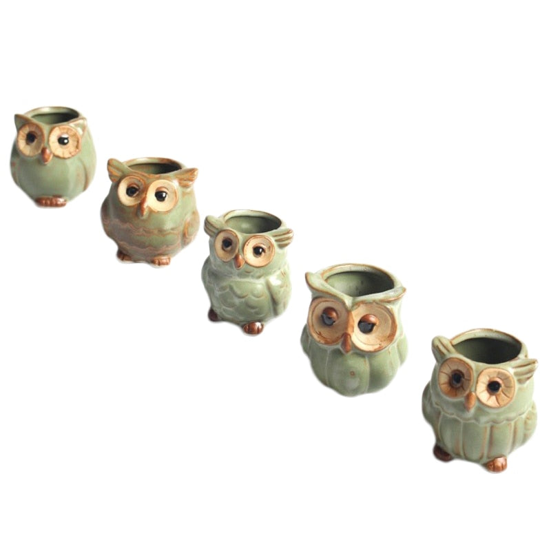 WhimsiOwl Keramische Sukkulententopf – Moderne Dekorative Blumentopf mit Eulendesign