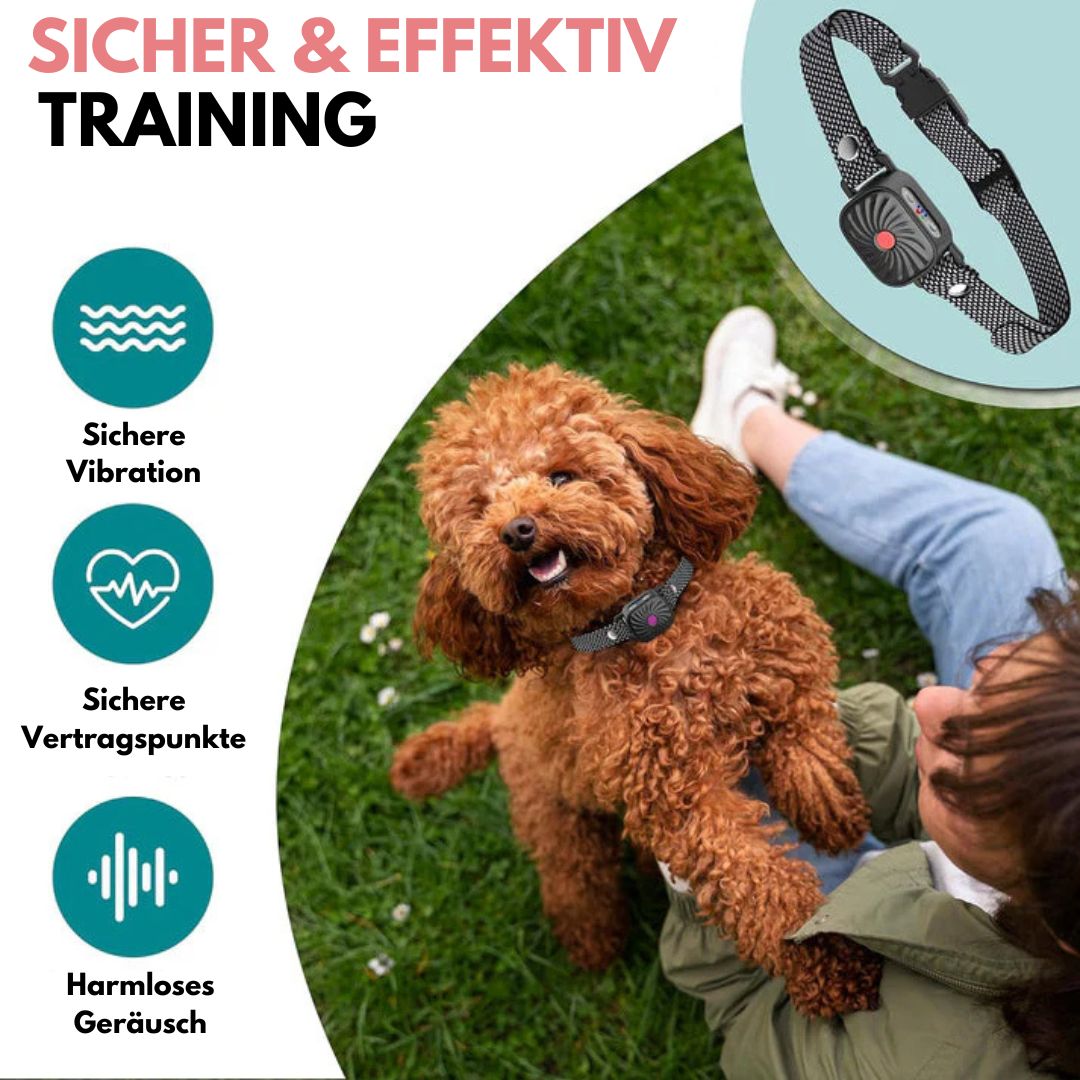 Bellstop Sommer Anti-Bellhalsband | Effektive und sichere Lösung gegen Bellen für kleine Hunde