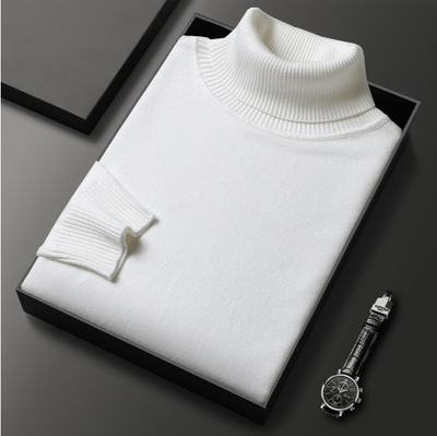 Stylischer Rollkragenpullover für Herren
