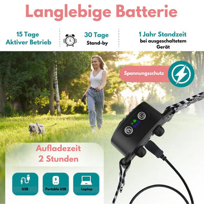 Antibellhalsband für kleine Hunde | Effektive und sichere Sommerlösung gegen Bellen