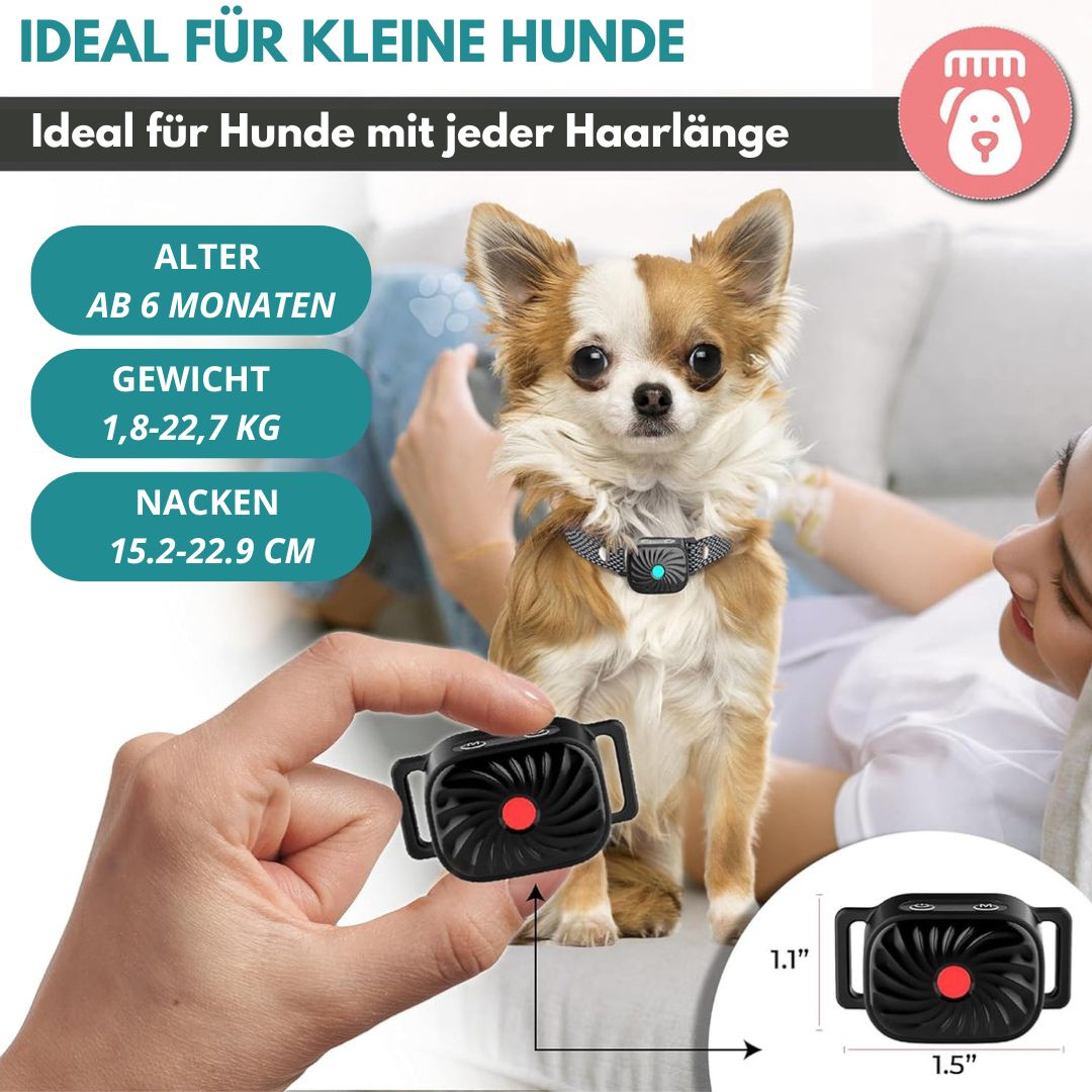 Antibellhalsband für kleine Hunde | Effektive und sichere Sommerlösung gegen Bellen