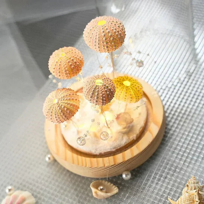 CoastalGlow DIY Igel Nachtlampe