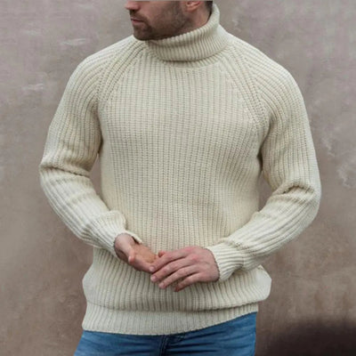Gemütlicher Rollkragenpullover in Beige für Herren