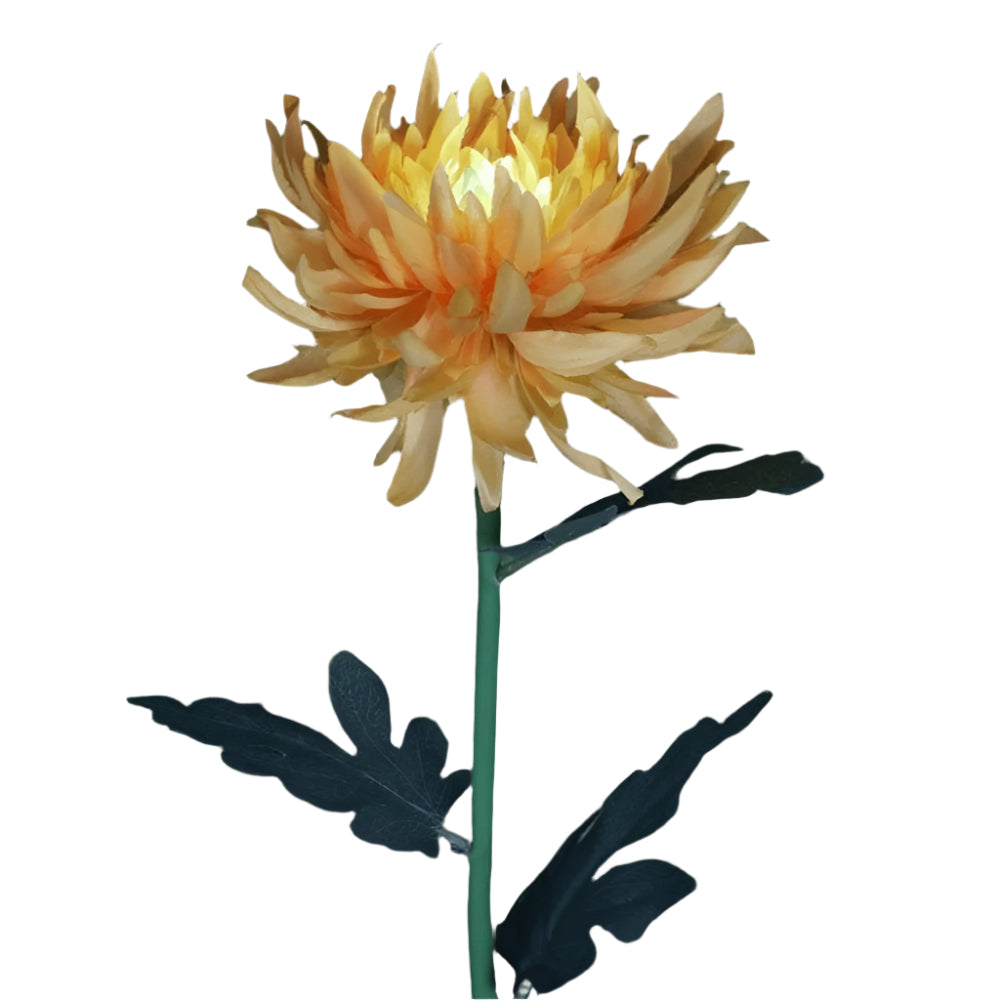 BloomGlow solarbetriebene Gartenlampen – Farbwechselnde LED-Außendekoration