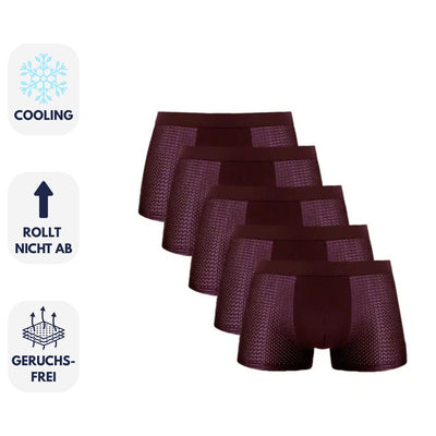 Sommerfrische Boxershorts für Herren - Atmungsaktive Kühlende Unterhosen (5er-Pack)