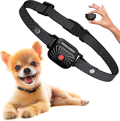 Antibellhalsband für kleine Hunde | Effektive und sichere Sommerlösung gegen Bellen