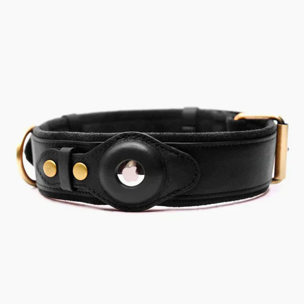 Sommer AirTag Hunde-Halsband | Leichtes Lederhalsband mit AirTag-Option, um Ihren Hund nie wieder zu verlieren