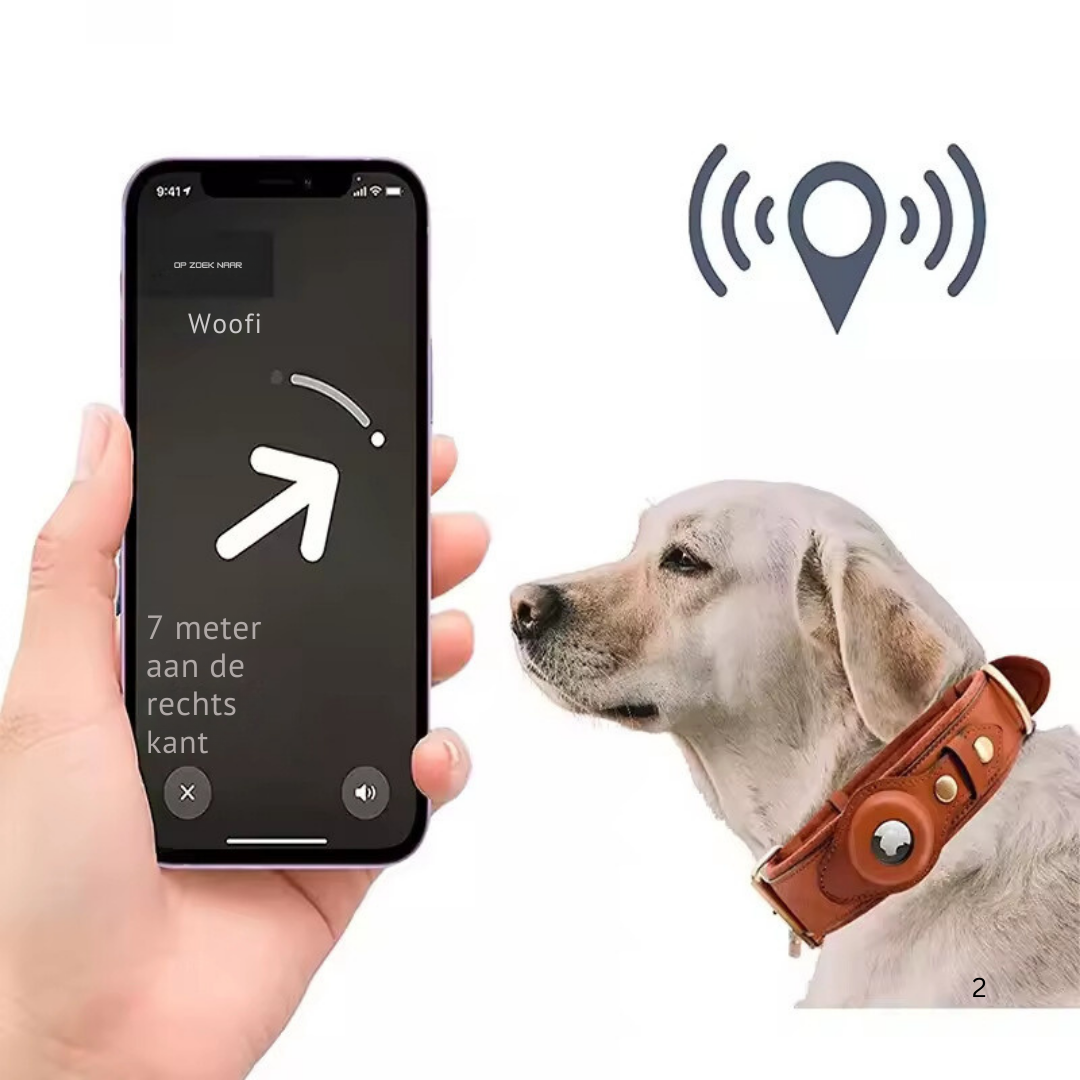 Sommer AirTag Hunde-Halsband | Leichtes Lederhalsband mit AirTag-Option, um Ihren Hund nie wieder zu verlieren