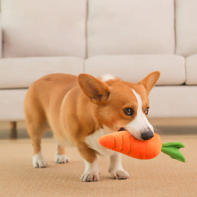 Willy Wortel Hundespielzeug | Unzerstörbares Sommer-Hundespielzeug mit Quietscher