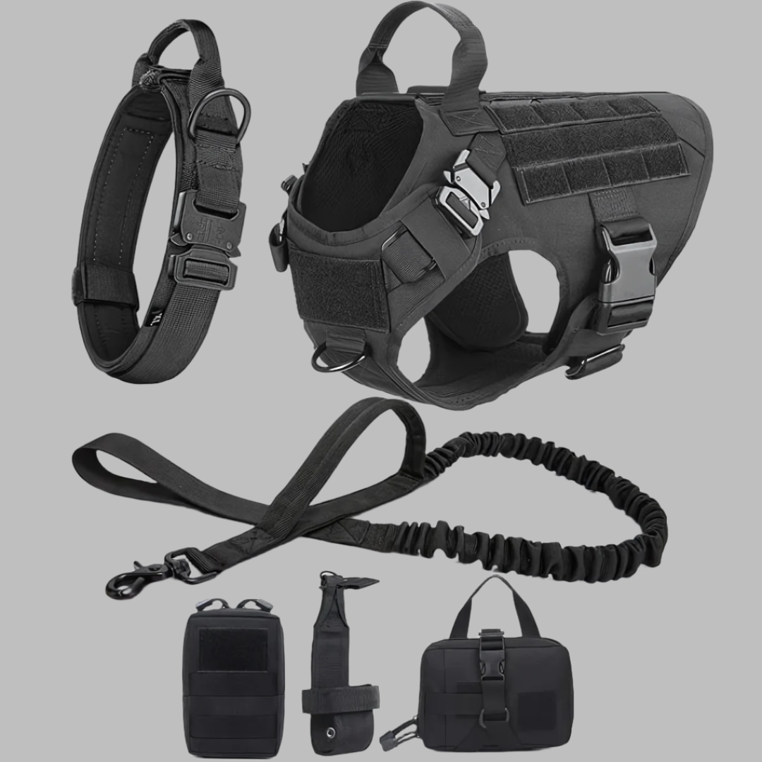 Rex 6-in-1 Sommer Hunde-Geschirr- und Leinen-Set | Professionelles Spazier- und Trainingsset für Ihren Hund