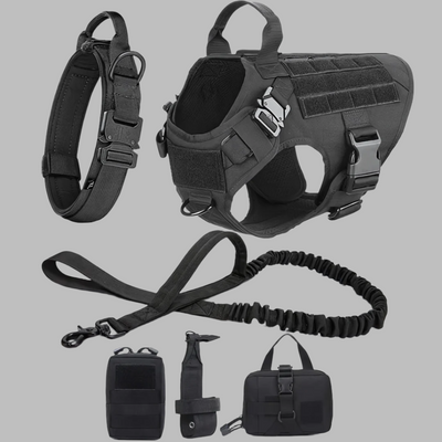 Rex 6-in-1 Sommer Hunde-Geschirr- und Leinen-Set | Professionelles Spazier- und Trainingsset für Ihren Hund