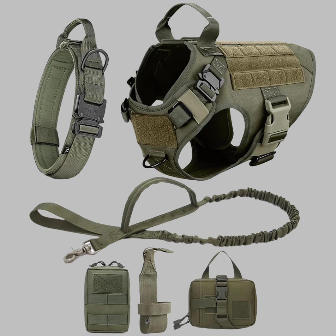 Rex 6-in-1 Sommer Hunde-Geschirr- und Leinen-Set | Professionelles Spazier- und Trainingsset für Ihren Hund