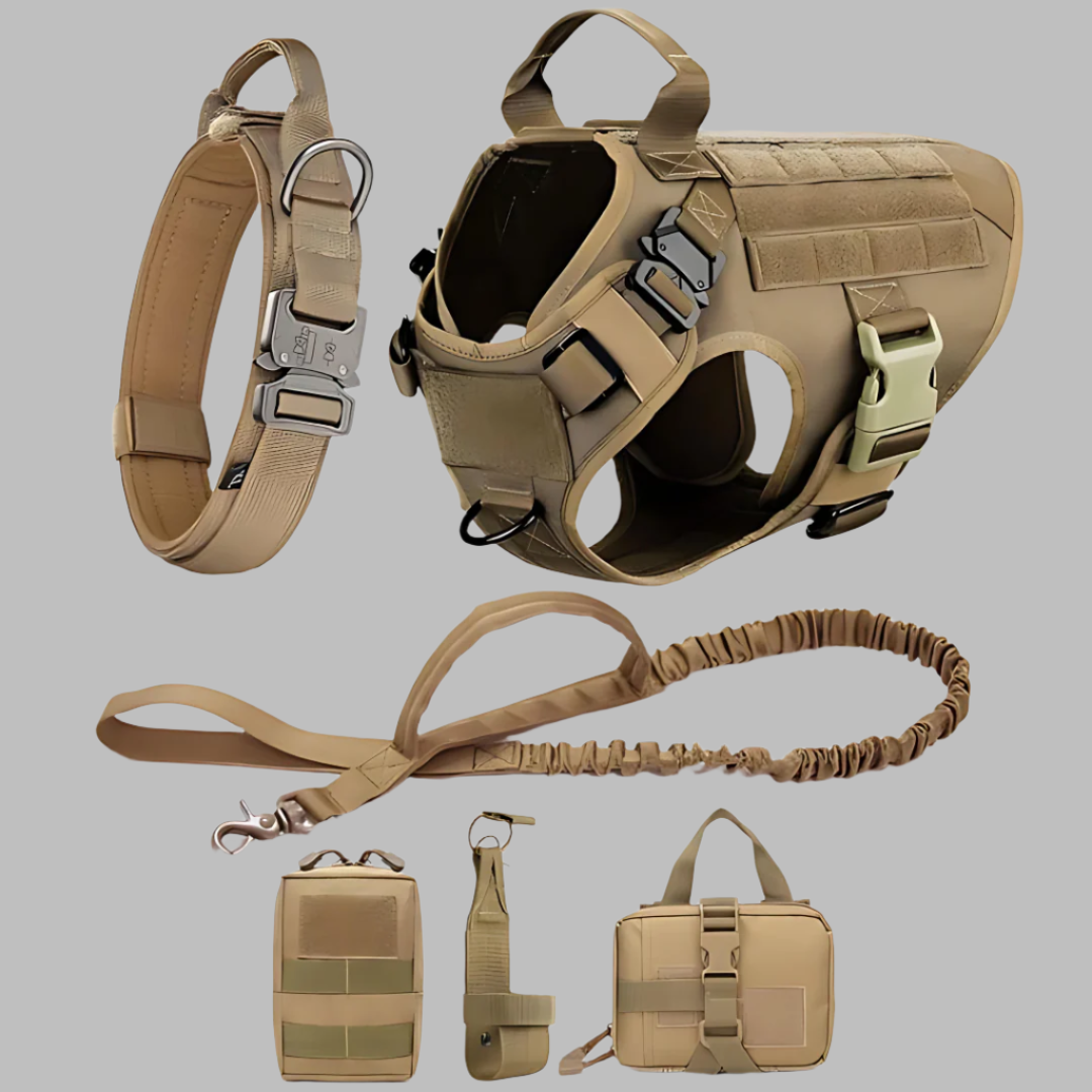 Rex 6-in-1 Sommer Hunde-Geschirr- und Leinen-Set | Professionelles Spazier- und Trainingsset für Ihren Hund