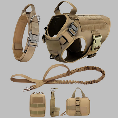 Rex 6-in-1 Sommer Hunde-Geschirr- und Leinen-Set | Professionelles Spazier- und Trainingsset für Ihren Hund