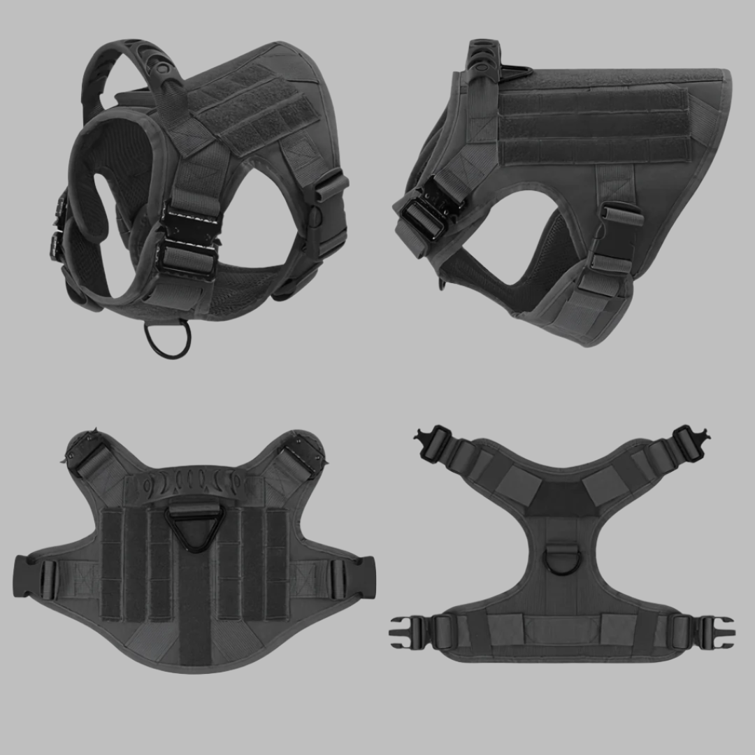 Rex 6-in-1 Sommer Hunde-Geschirr- und Leinen-Set | Professionelles Spazier- und Trainingsset für Ihren Hund