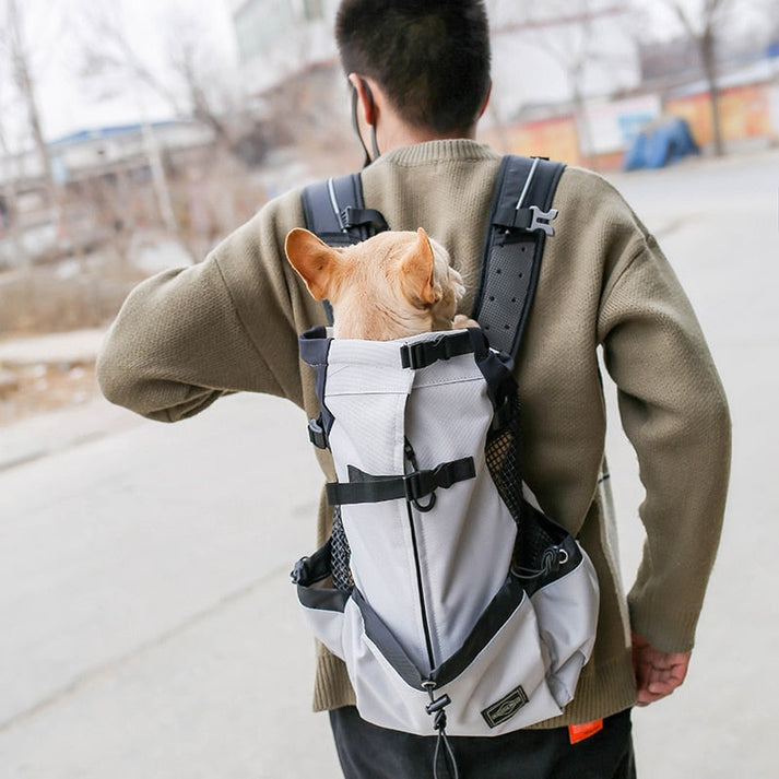 Sommer Travel Puppy Hunderrucksack | Leichter und Bequemer Rucksack für Mittelgroße Hunde