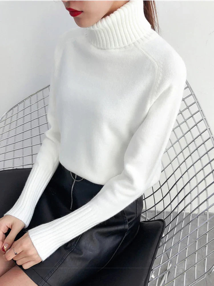 Klassischer Rollkragenpullover für Damen