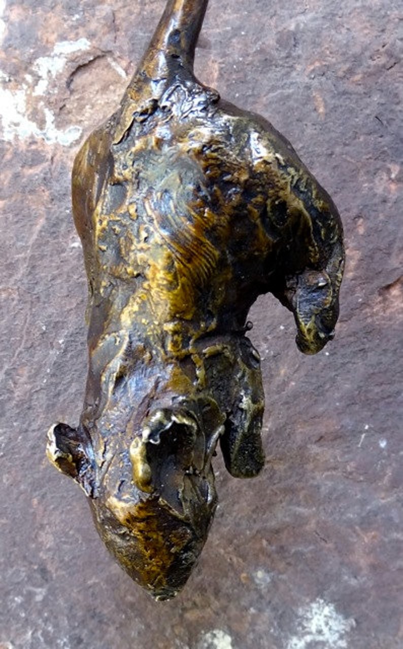 SchnurrKlopf™ Verspielter Willkommens-Touch