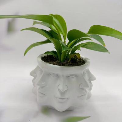 ArtFace 3D Keramische Pflanzenkasse – Modernes Gesichtsdesign Topf