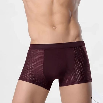 Sommerfrische Boxershorts für Herren - Atmungsaktive Kühlende Unterhosen (5er-Pack)